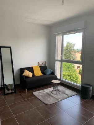 Location Appartement 1 pièce 28m² ALBI 81000 - Photo 1