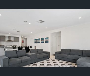 Stylish Family Living in a Prime Truganina Location - Photo 1