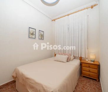 Casa adosada en alquiler en los Cuarteros - Lo Pagán - Photo 4