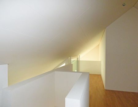 Your new home? Attractive and modern penthouse apartment in Bonstetten - Foto 5