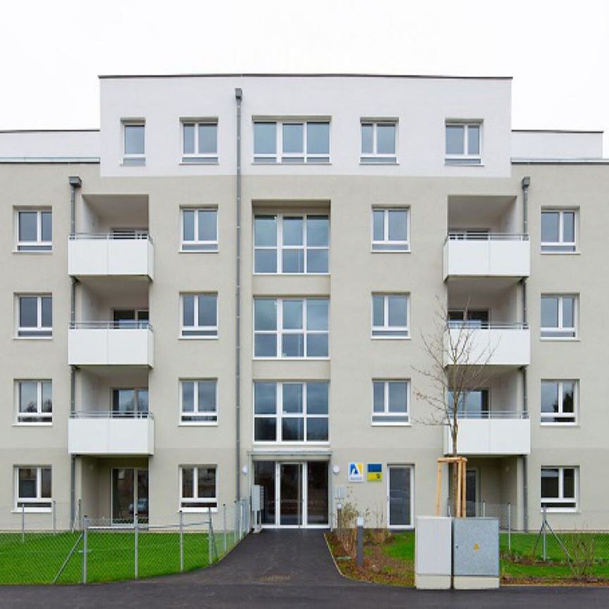 HOLLABRUNN XV/1 - Photo 1