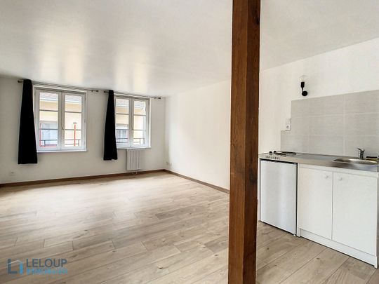 Location Appartement 1 pièce 25m² ROUEN 76000 - Photo 1