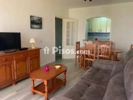 Piso en alquiler en los Llanos - Photo 3