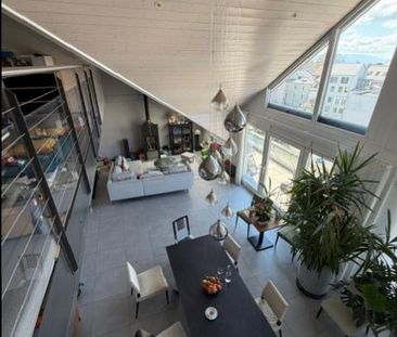 6.5 Zimmer, 305 m² - Photo 3