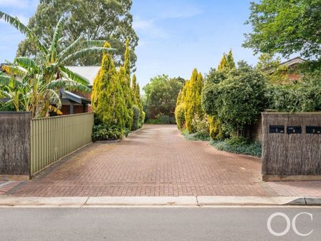 Open the Door To Tranquil Living in Magill - Photo 2