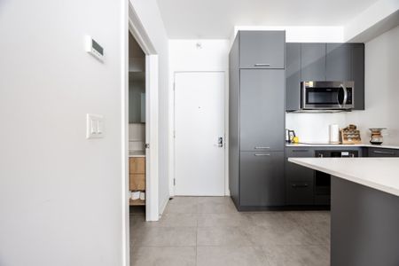 Appartement à louer - Montréal (Ville-Marie) (Centre) Appartement à louer - Montréal (Ville-Marie) (Centre) - Photo 3