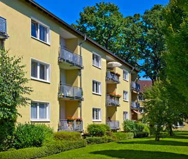 3-Zimmer-Wohnung mit Balkon in Ahlen-Ahlen mieten - Photo 6