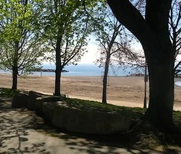49 Fernwood Park Avenue apartment — Toronto, ON (1-Bedroom) - 1 Bed... - Photo 2