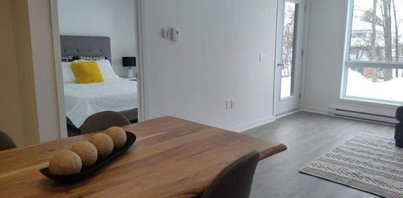 1 CH - 1 SDB - Laval - $1,520 /mo - Photo 2