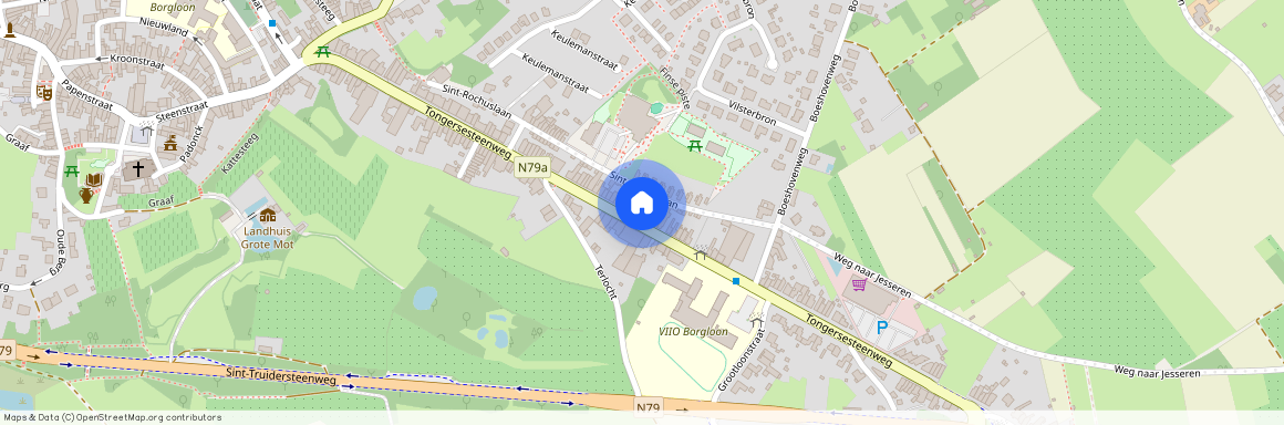 Tongersesteenweg 89, 3840 Borgloon