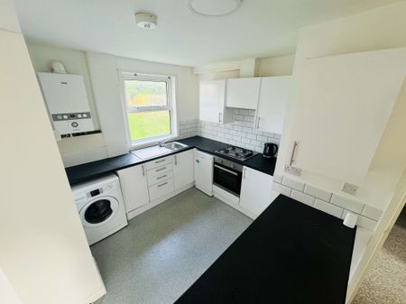 A Comforting 6 Double Bedrooms for Rent in Brighton - Photo 4