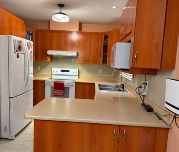 Rue Émile-Gauthier, H8R 4B9, Montréal - Photo 4