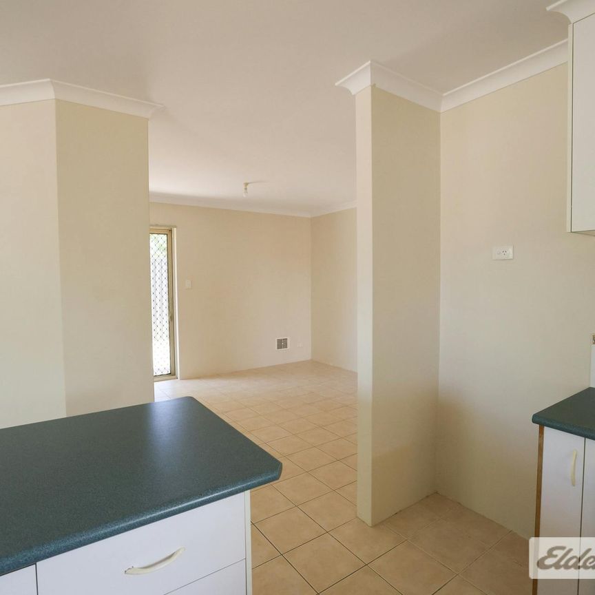 Neat and Tidy - Photo 1