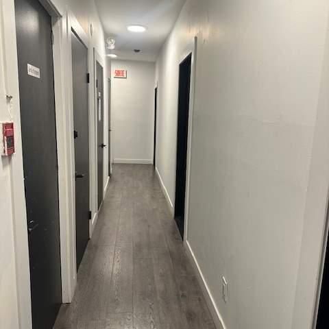 Studio - Montréal - $695 /mo - Photo 1
