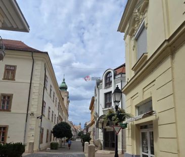 Kiadó téglalakás - Pécs - Photo 2
