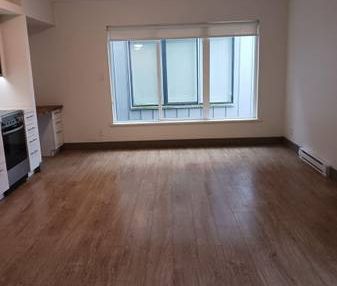 Newly Renovated Studio Apartment - Starting at $1800 - Photo 3