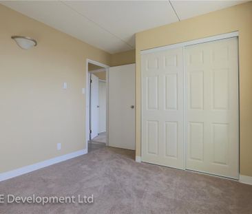 1 Bedroom - Photo 2