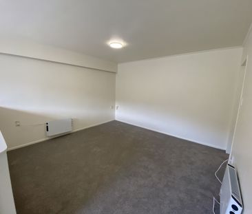 Owhiro Bay Living - Photo 5