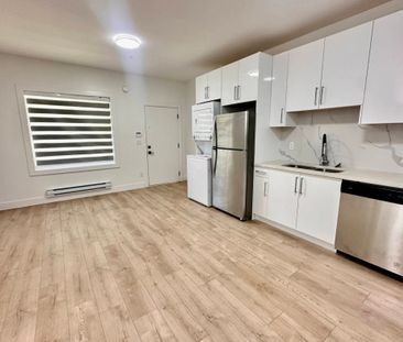 13185 236b St, Maple Ridge (Ground Level Basement B) - Photo 3