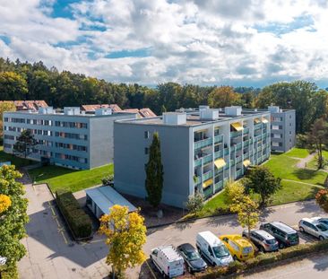 1.5 Zimmerwohnung in Düdingen zu vermieten! - Foto 1