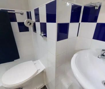 Silver Ensuite - Photo 6