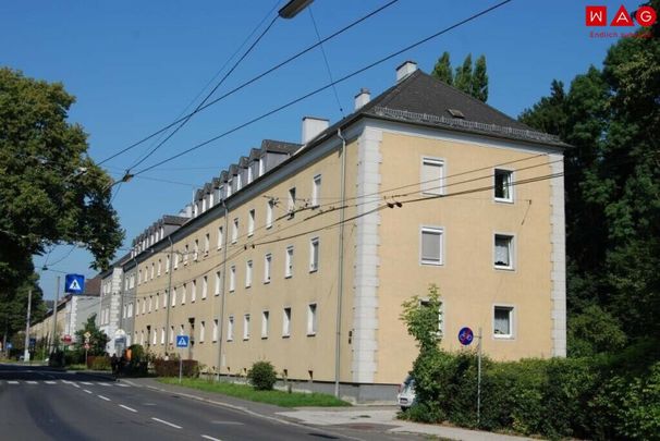 Perfekte Starterwohnung in Linz/Bindermichl – 35 m² mit separater Küche! Bezugstermin 01. Juni 2026! - Photo 1