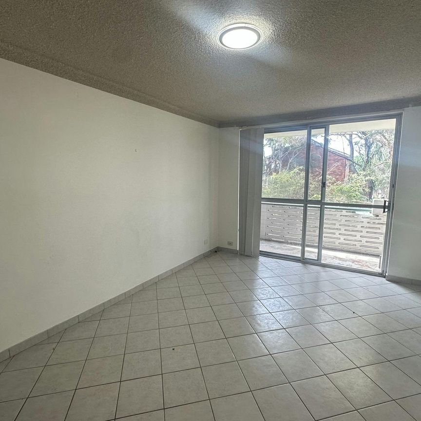 RENOVATED UNIT WITH PARK VIEWS ! - Photo 1