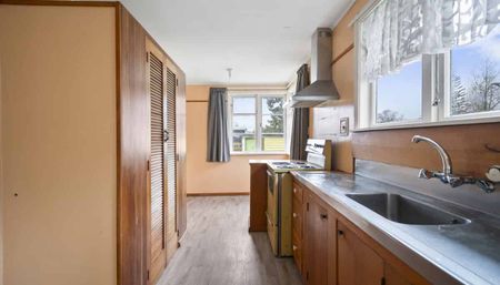 Colorful on Cardiff, Dog Friendly ! * Price Reduction* - Photo 4