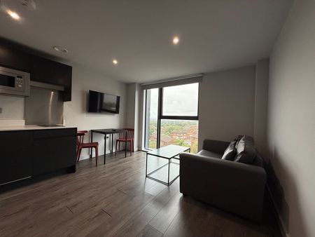 Studio Flat, Low Hill, L6 - Photo 2