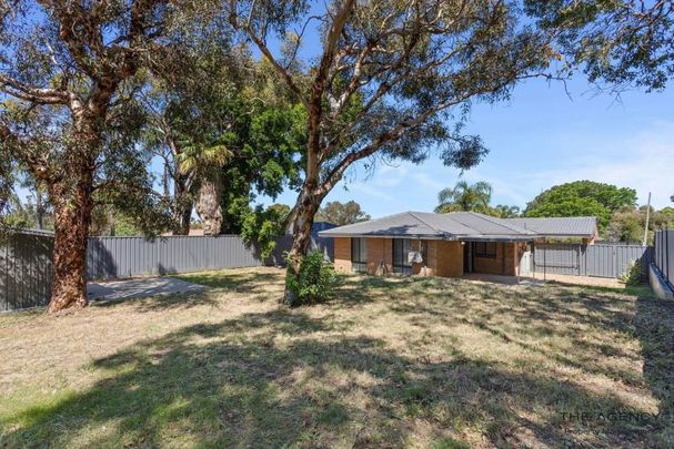 Freshly Renovated Home in a Peaceful Bushland Setting - Photo 1