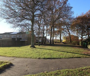 3 bedroom house to rent - Photo 1