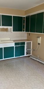 9788 Rue Chambord, H2C 2P7, H2C 2P7, Montréal - Photo 4