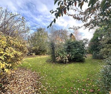 3 bedroom house to rent - Photo 5