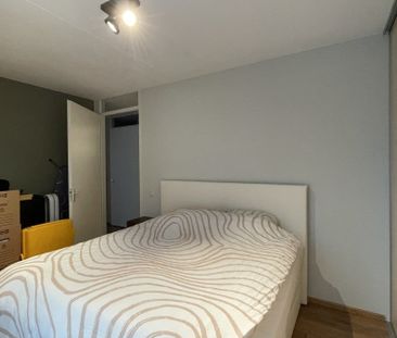 Te huur: Appartement Beukenbos in Bladel - Photo 3