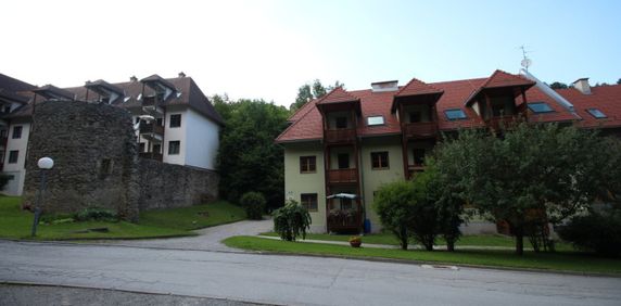 Gemütliche 1-Zimmer-Wohnung mit Balkon in Rein! - Photo 2