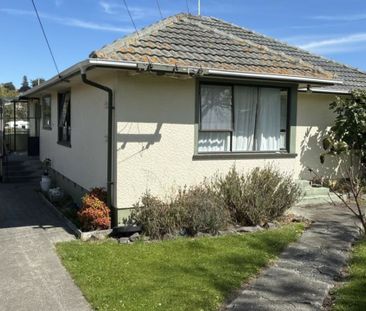 Sunny and Spacious 3 Bedroom Home - Photo 1