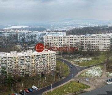 Pronájem bytu 2+1 40 m2 - Fotografie 3