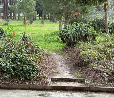 Azeitão (são Lourenço e São Simão), Setúbal Municipality - Photo 5