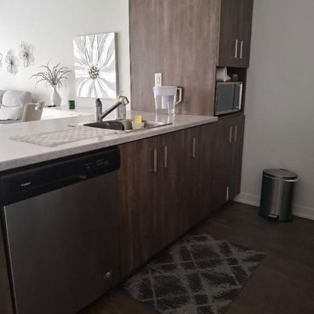 Condo 3 1/2 RDC - Cession de bail - Animaux acceptés - Photo 4