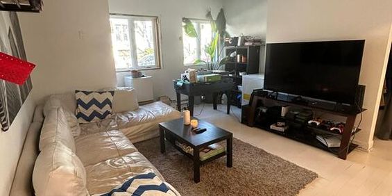 Downtown/Atwater - Superb 5 1/2 For Rent - Photo 3