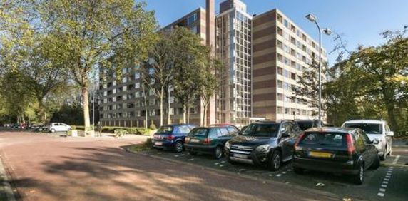 Fluitekruidweg 1508 Zaandam - Foto 2