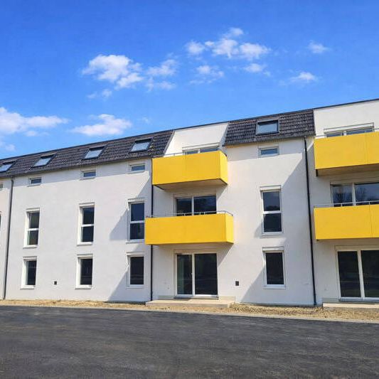 Terrassenwohnung mit 4 Zimmern zur Miete mit Kaufoption - Photo 1