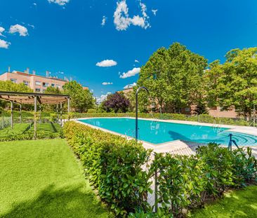 Madrid Capital - Photo 5