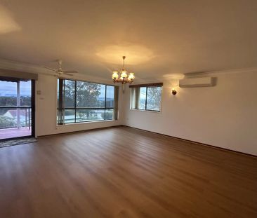 Head to the Point - Photo 2