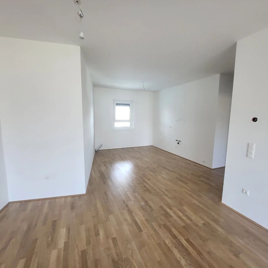 ERSTBEZUG! 3-Zimmer-Wohnung mit Balkon, Top 15 - Photo 1