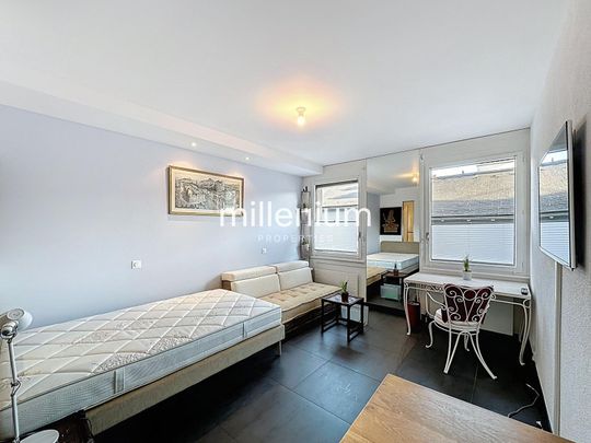 Appartement meublé 2P au cœur de Genève - Photo 1