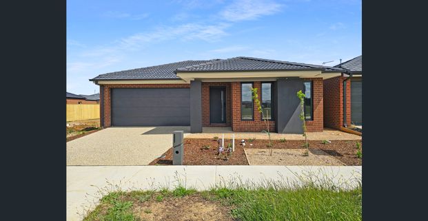 Capturing your heart! - Photo 1