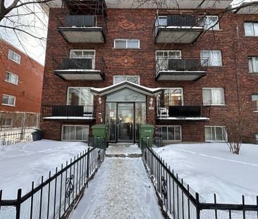 11962 Av. Monty, Montréal (Montréal-Nord), QC H1G - Photo 4