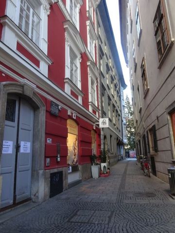 Sehr gepflegte Innenstadtwohnung in absoluter Bestlage – Innere Stadt direkt beim Franziskanerplatz – Provisionsfrei - Photo 4