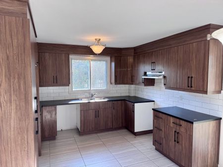 8321 Boul. Maurice-Duplessis, H1E 3B5, H1E 3B5, Montréal - Photo 3